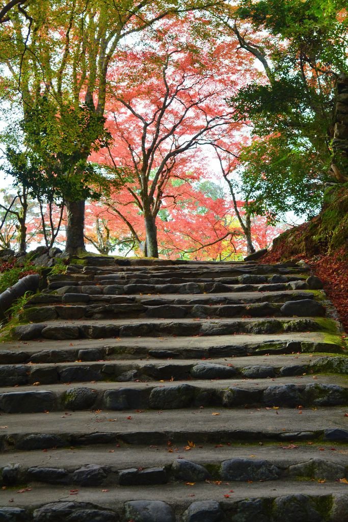 神護寺