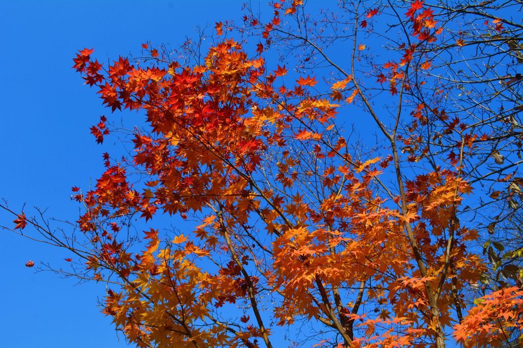 DSC_0327.JPG