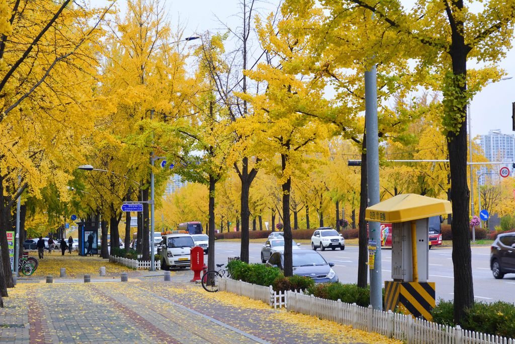 DSC_0827.JPG
