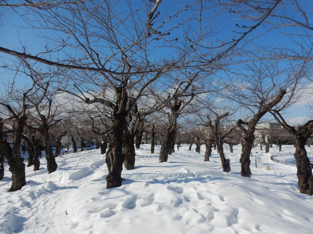 DSCN1284.JPG