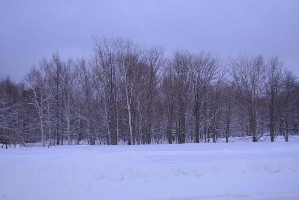 DSC_0369.JPG