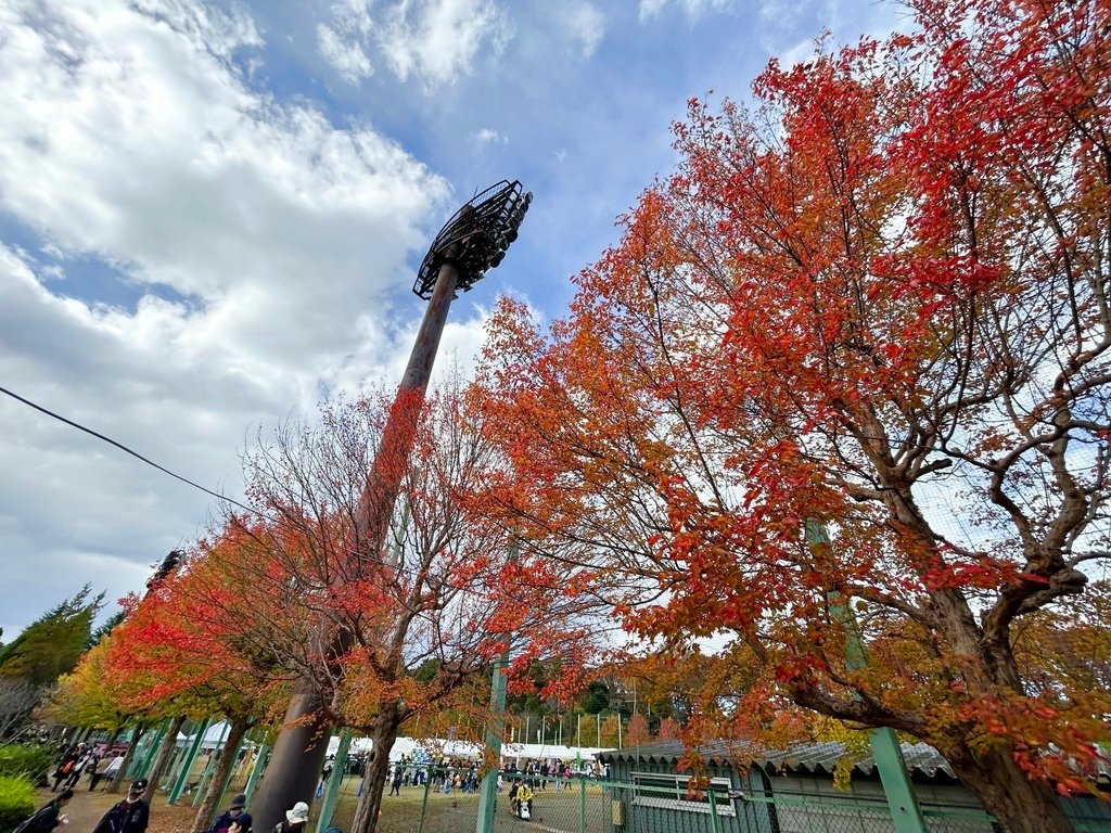 與青春的偶遇@東京 八王子 陵南公園