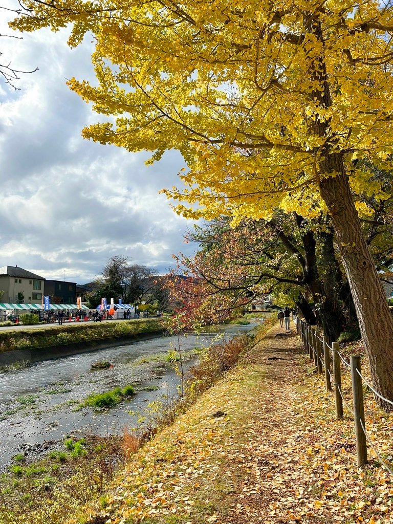 與青春的偶遇@東京 八王子 陵南公園