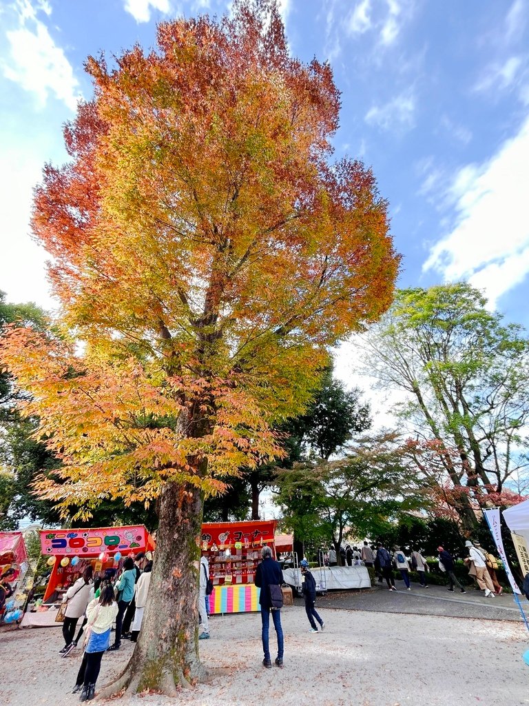 與青春的偶遇@東京 八王子 陵南公園