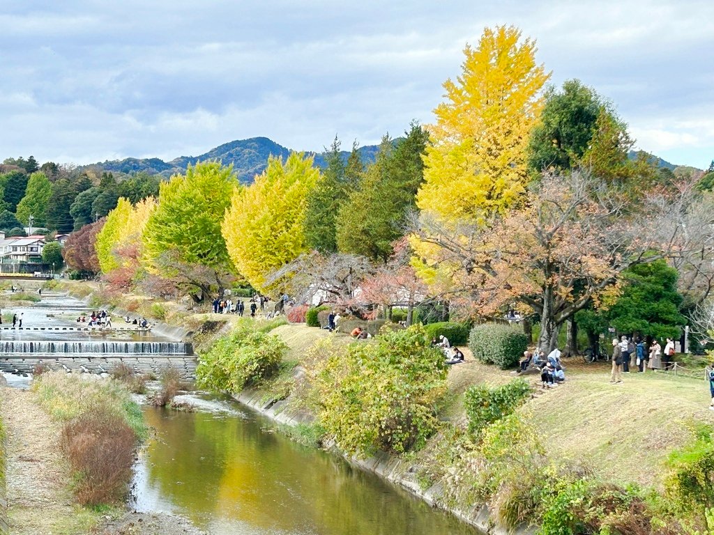 與青春的偶遇@東京 八王子 陵南公園