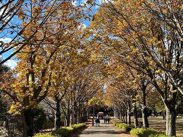 就是多彩多姿@東京 國營昭和紀念公園