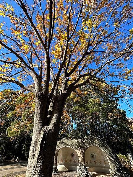 就是多彩多姿@東京 國營昭和紀念公園