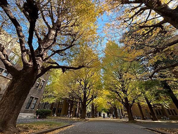 門裡門外@東京 東京大學