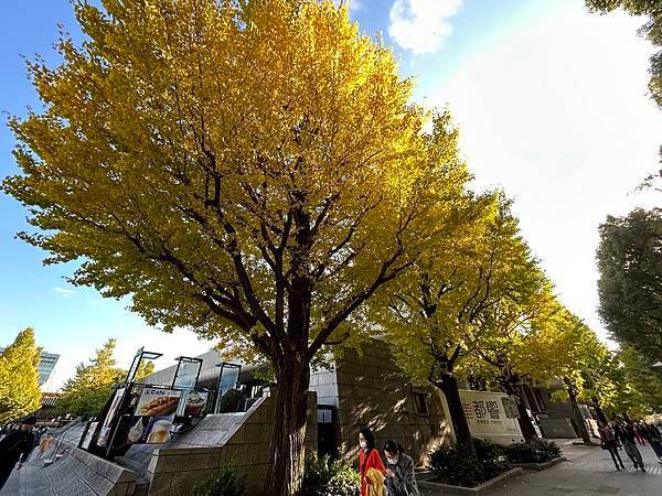 不算太黃@東京 上野公園