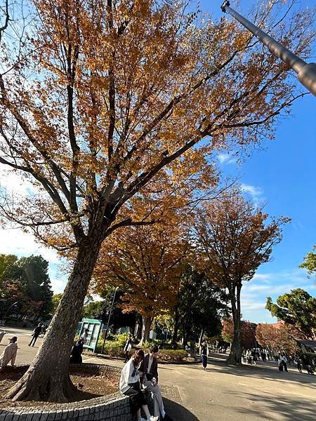 不算太黃@東京 上野公園