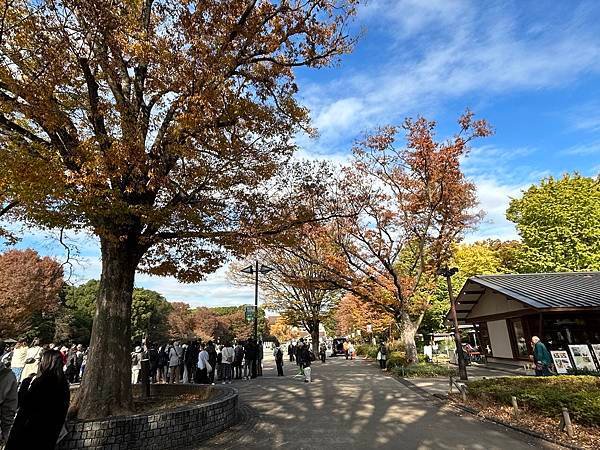 不算太黃@東京 上野公園