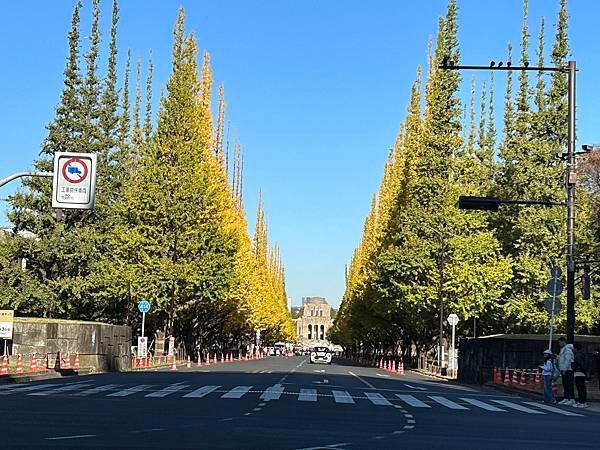 八字不合@東京 明治神宮外苑