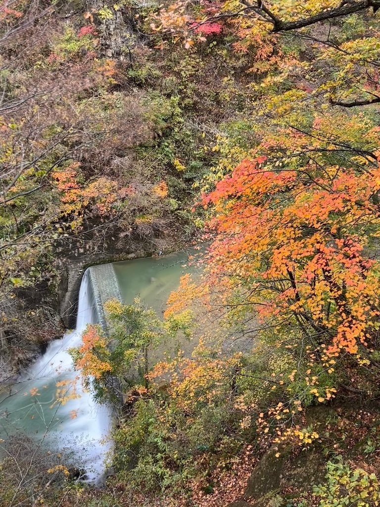 火車不會過山洞@宮城 鳴子峽