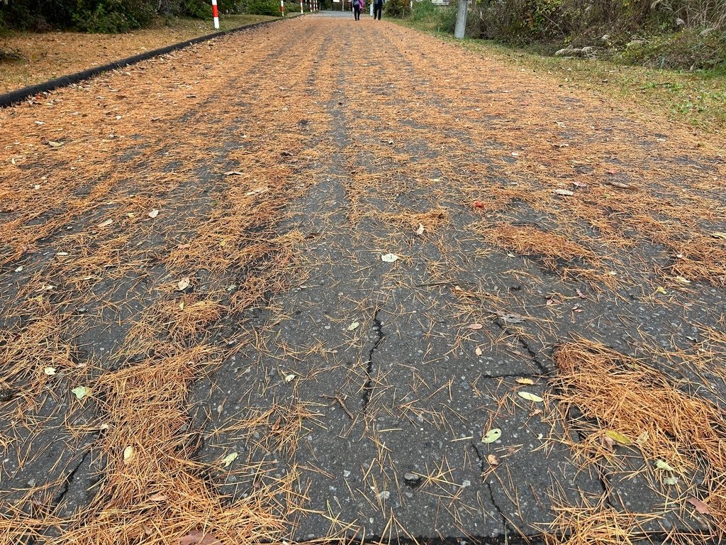 火車不會過山洞@宮城 鳴子峽