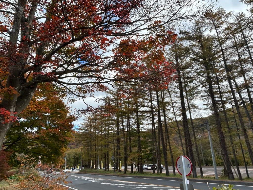 火車不會過山洞@宮城 鳴子峽