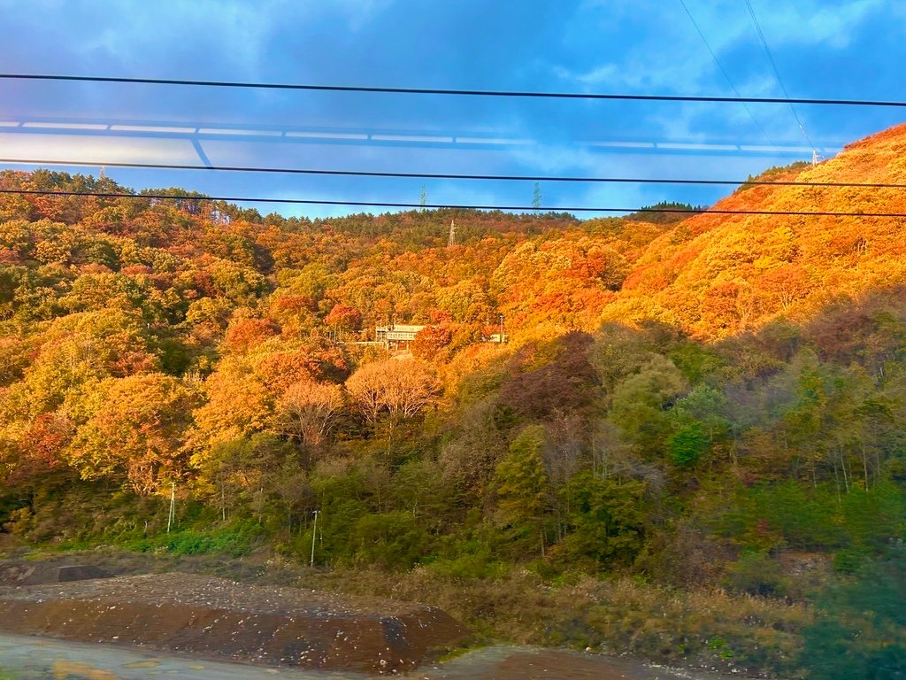 會想哭嗎?@新幹線 往角館