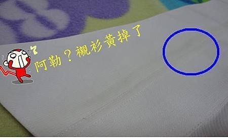 白回來
