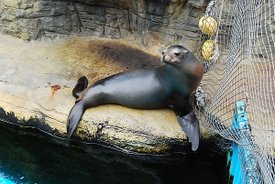 DSC_0382.JPG