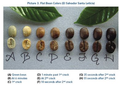 peaberry_pic3.jpg