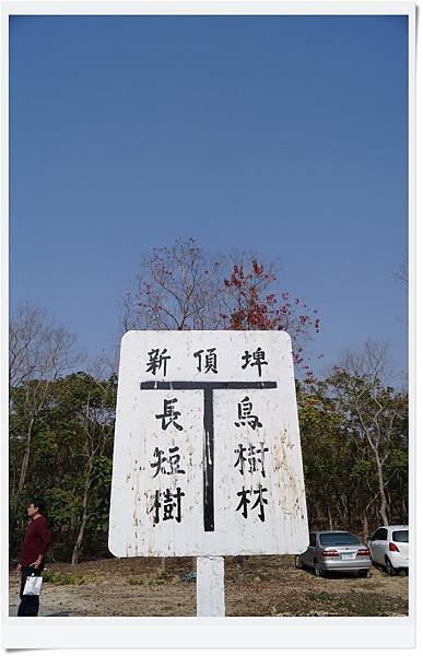 87.JPG