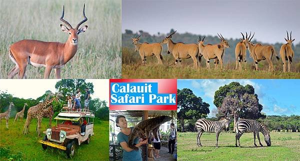 卡拉伊特島國家公園Calauit Island National Park.jpg