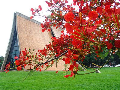 東海大學一.jpg
