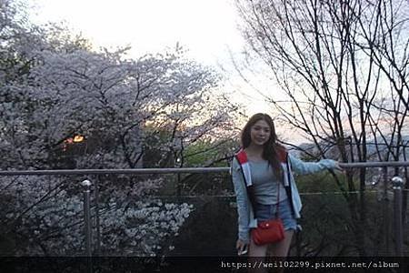 首爾景點·最浪漫必去夜景｜登上首爾至高點·南山公園賞櫻花與首爾塔交通與票價·鎖上你們的愛情💓鎖頭 (37).jpg