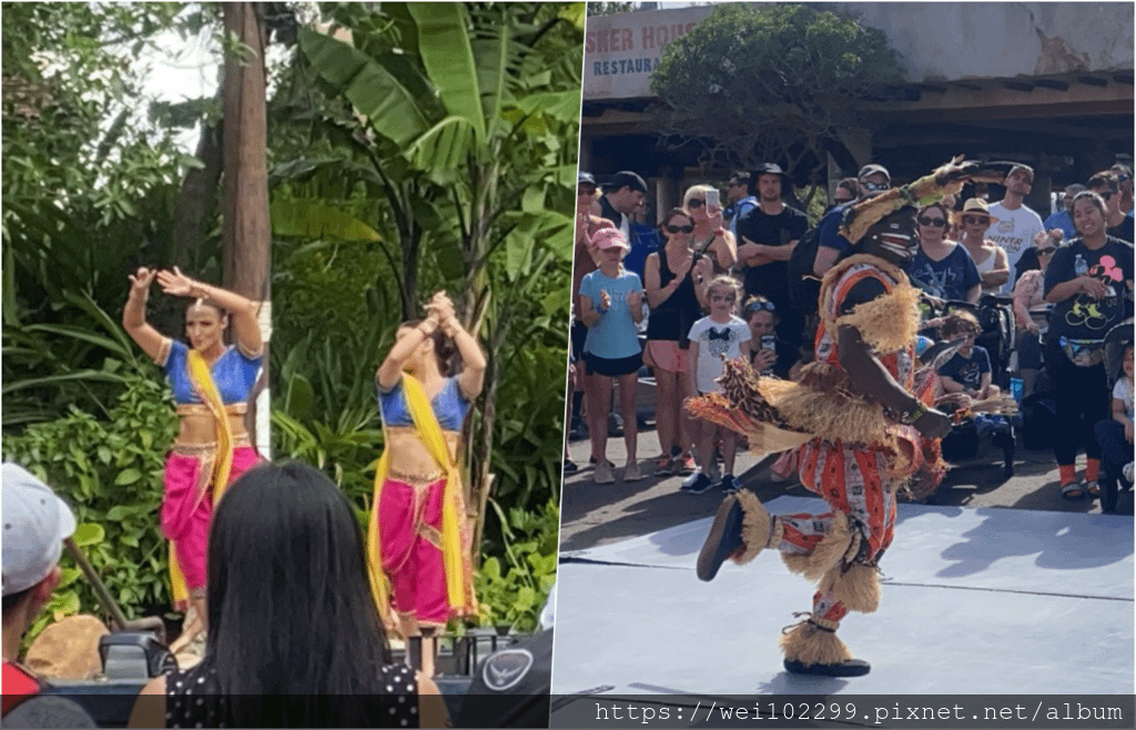 28奧蘭多迪士尼Animal Kingdom動物王國一日全攻略｜我最喜歡的館：超真實阿凡達！滿滿動物看不完！開館衝哪必玩設施最好玩有哪些！Florida Disney 20201.png