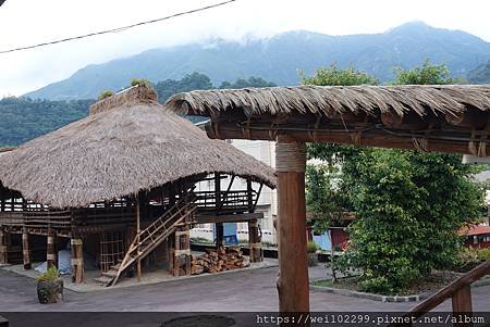 0718阿里山-達邦 (377).JPG