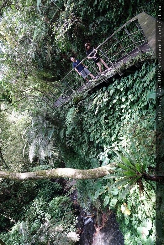 [宜蘭旅遊景點推薦]金車礁溪蘭花園門票價格與餵食動物＆參觀植物園之旅IMG_4293.JPG