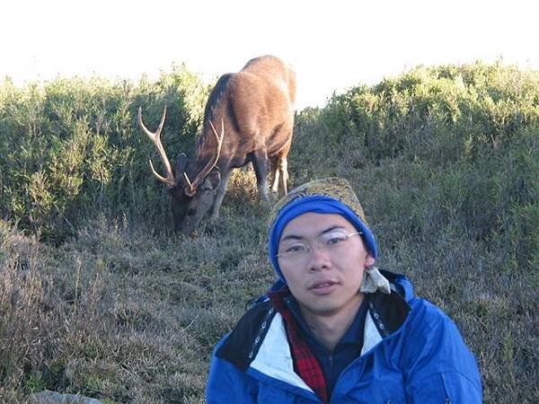 水鹿合照
