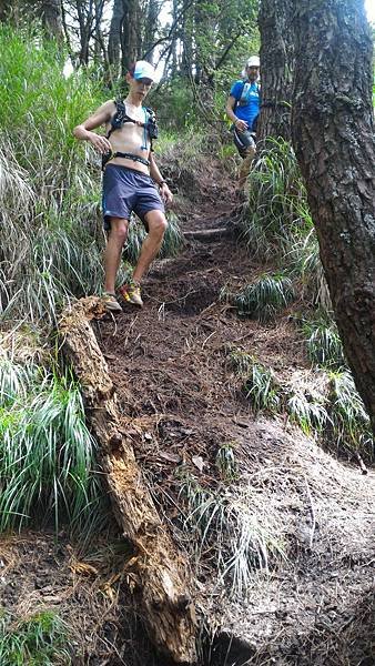 P_20160821_101236.jpg