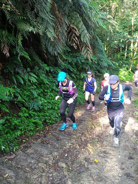 P_20160904_080135.jpg
