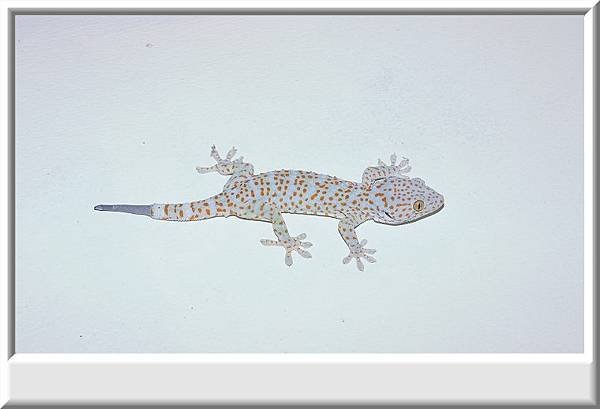 20110708000023951.jpg