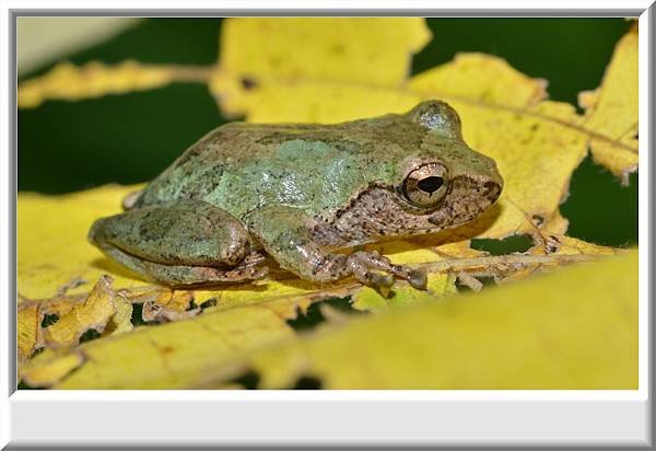 DSC_3597.JPG