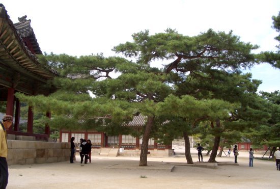 CIMG0239.JPG
