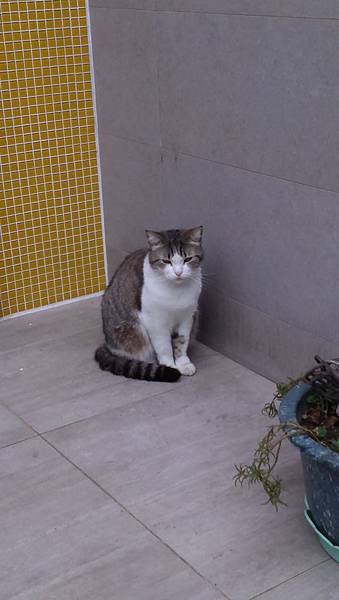 IMAG0043
