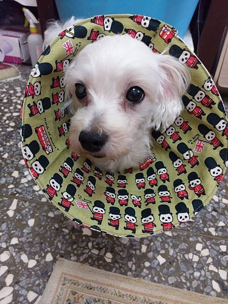 IMAG0704