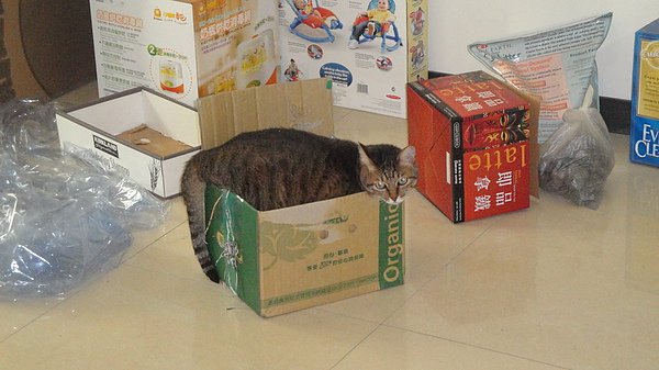 躲不進去~