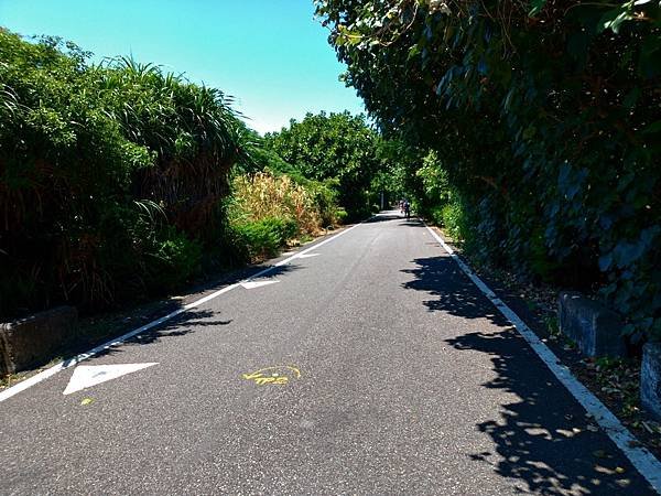 新烏綠色隧道_200730_100.jpg