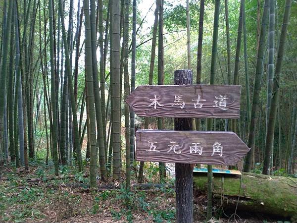 雲嶺之丘_201211_130.jpg