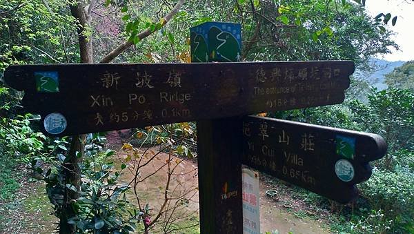 挑米古道_210319_6.jpg