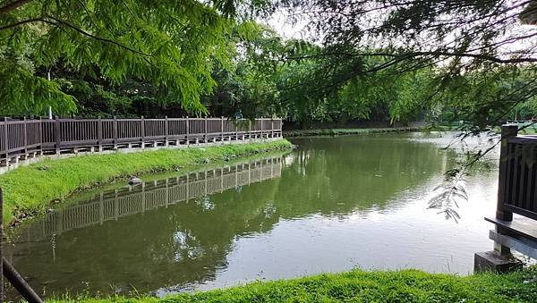 LINE_ALBUM_天母星巴克和原住民公園_210903_30.jpg