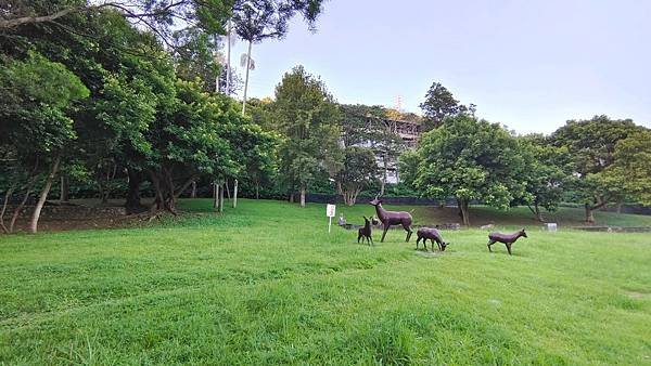 LINE_ALBUM_天母星巴克和原住民公園_210903_37.jpg