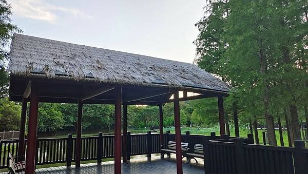 LINE_ALBUM_天母星巴克和原住民公園_210903_31.jpg