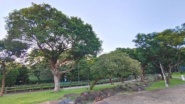LINE_ALBUM_天母星巴克和原住民公園_210903_58.jpg