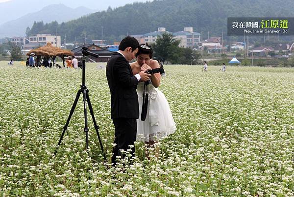 婚紗