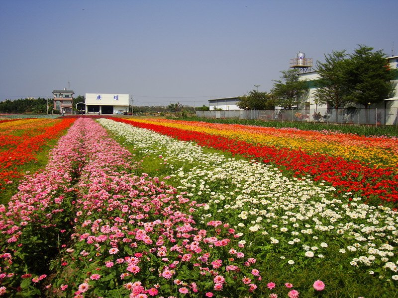 DSC06283.JPG
