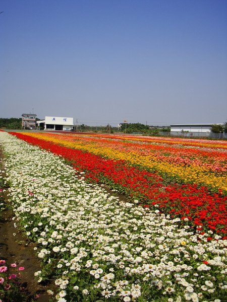 DSC06289.JPG