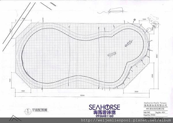 20170704 海馬游泳池-游泳池安全網設計-泳池設計.jpg